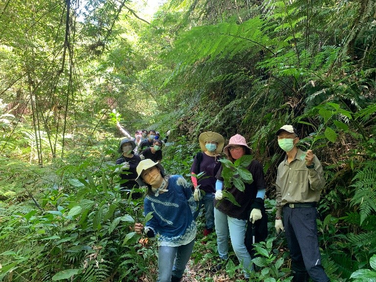 藍金小旅行結合生態導覽體驗認識三峽山林文化