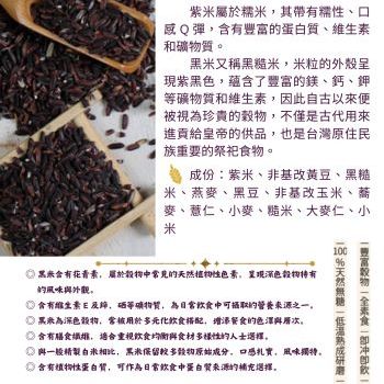 紫米介紹內容