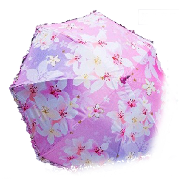 五月雪桐花傘