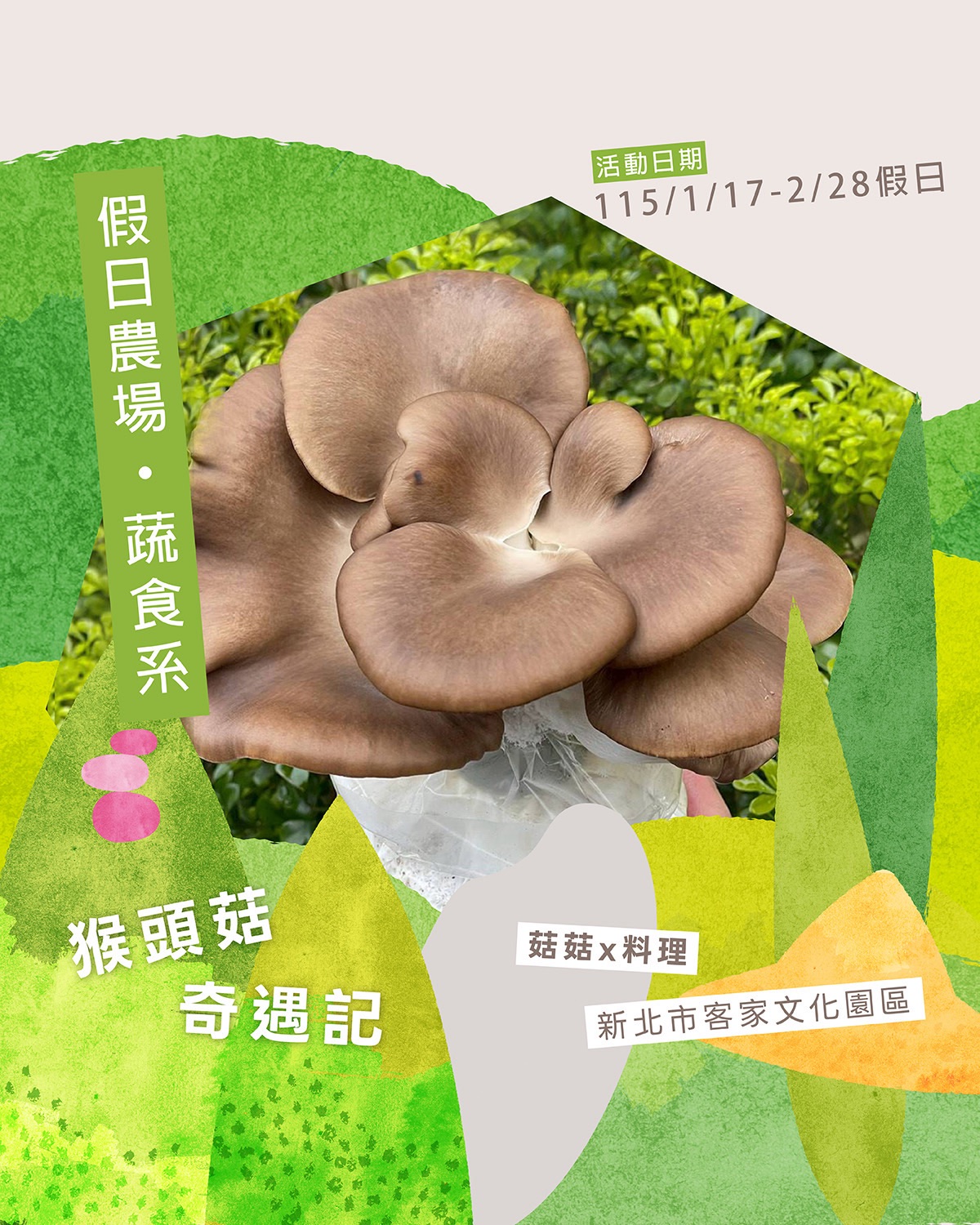 親臨採菇／太空包栽培｜認識菇類與種植方式